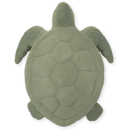 Beissring Schildkröte